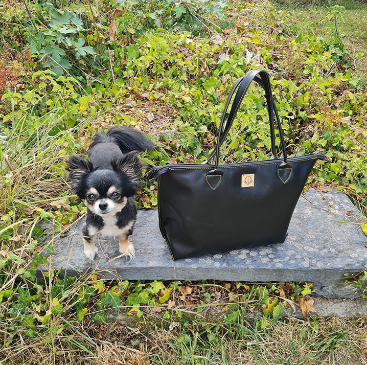 Grand-Simplicimo-noir Grand-Simplicimo-noir